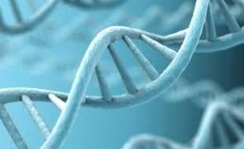 اكتشاف 200 طفرة جينية قد تسبب السرطان