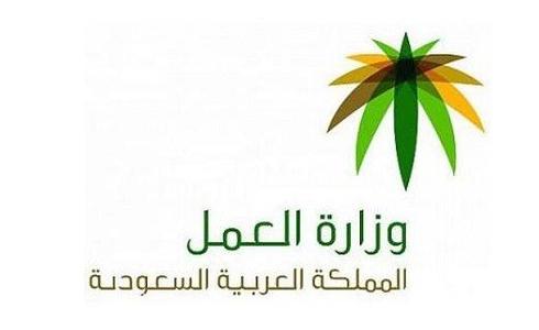 الاستعلام عن المساعدات المقطوعة في المملكة العربية السعودية