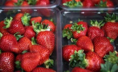 تعرف على 10 أطعم لا غني عنها في عمر الخمسين