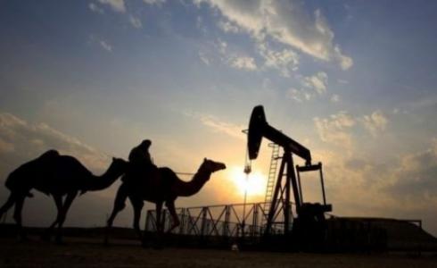 حذرت الوكالة الدولية للطاقة وأوبيك من نقص المعروض من النفط