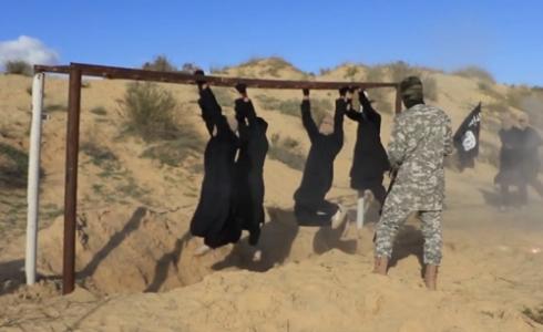 تدريبات ولاية سيناء