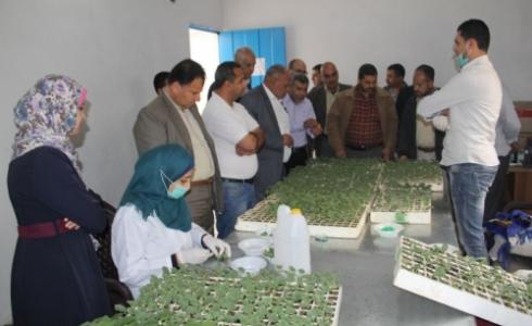 التوجه للزراعة الحديثة