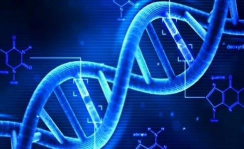 مفتاح الحمض النووي قد يجدّد نمو الأطراف - أرشيفية