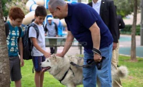 كاية كلبة الزوجين نتنياهو