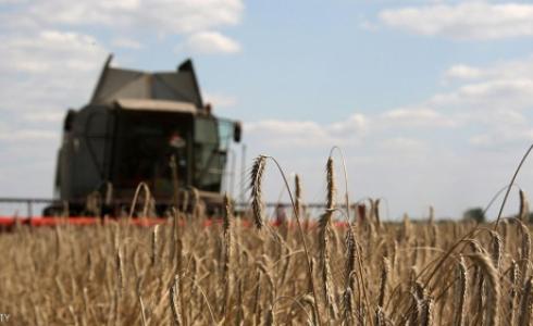 أشترك مصر القمح من شركة لويس دريفوس