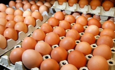 بيض أوكراني