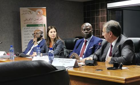 السفيرة حنان جرار خلال اجتماع في جنوب أفريقيا أمس