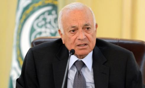نبيل العربي