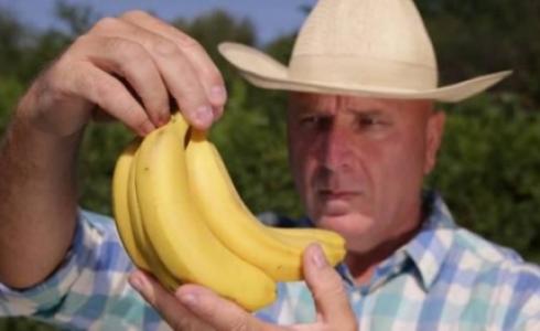 رجل يتناول الموز