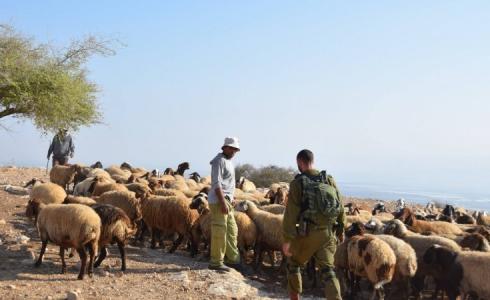 مستوطنون يعتدون على رعاة أغنام شرق رام الله