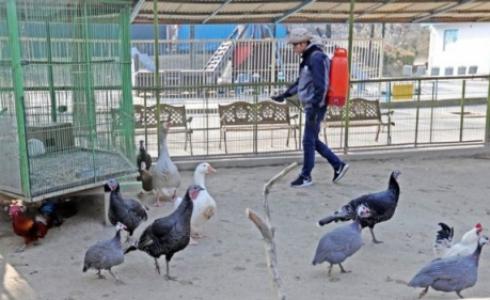 كوريا الجنوبية تقول إن سلالة جديدة من الفيروس ظهرت وهي أشد فتكا من سابقتها