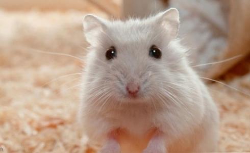 تم تحويل الركاب إلى طائرة أخرى