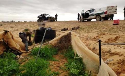 تصوير الشرطة لشتلات المخدرات