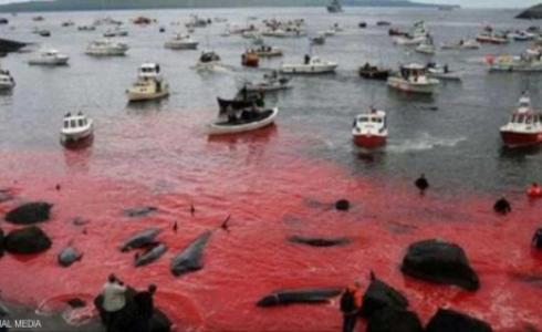 صيد الحيتان