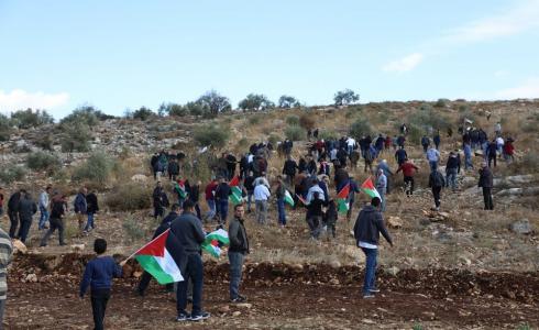 مواطنون يزرعون أشجارا في الأراضي المهددة بالاستيلاء جنوب شرق طولكرم