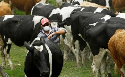 الحليب غير المبستر أحد أكثر مصادر العدوى شيوعا