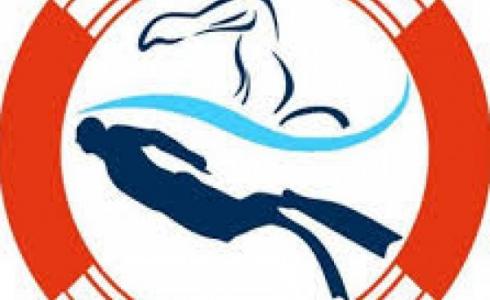  مدرسة SDR البحرية للسباحة والغوص