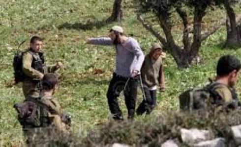 مستوطنون يقتلعون أشجارا مثمرة غرب سلفيت ارشيف