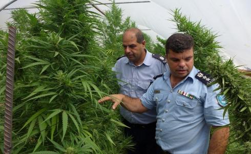 المخدرات في الخليل - توضيحية