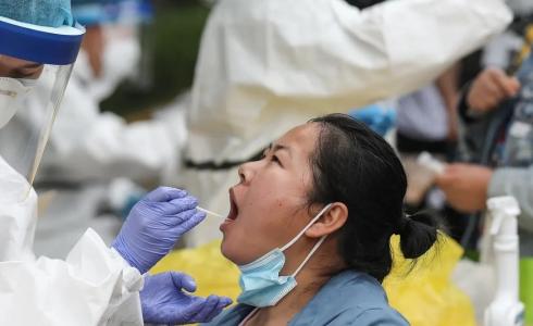 ربورت لإجراء الكشف عن كورونا