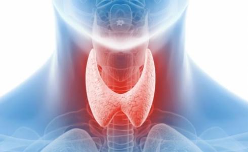 الغدة الدرقية