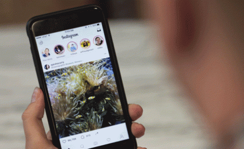  قصص إنستغرام