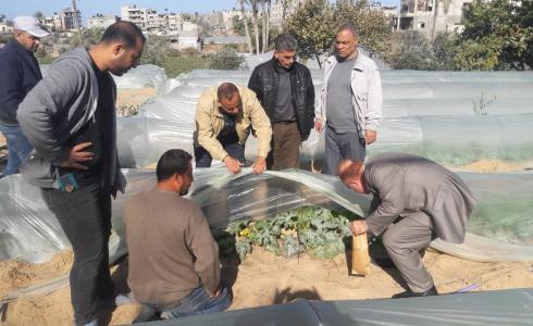 حملة لضبط المزروعات التي تروى بالمياه العادمة في رفح