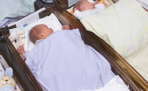 مواليد في قطاع غزة