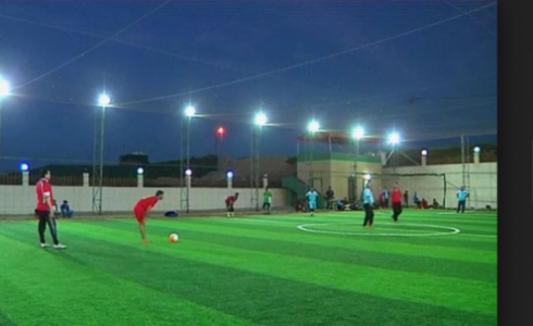 الملاعب المعشبة