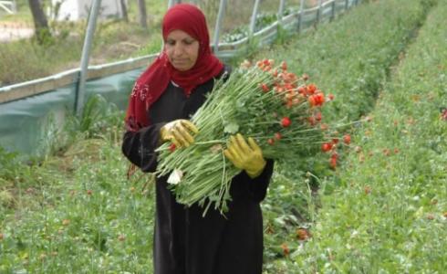 مرأة تعمل مزارعة -توضيحية-