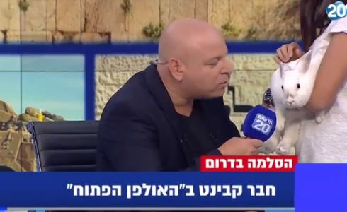 أرانب في مقابلة على تلفزيون إسرائيلي بسبب غزة