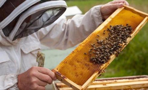 افتتاح المعرض السنوي الرابع لمنتجات النحل في البيرة