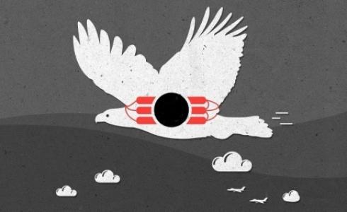 "داعش" يجند الطيور لصد الطائرات المغيرة!