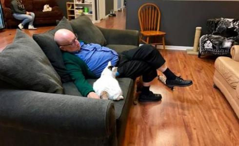 لورمان أثناء عمله النوم مع القطط