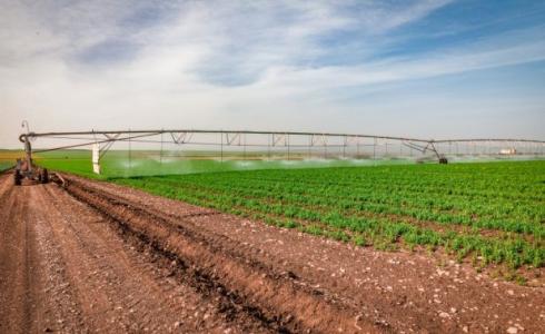 أراض زراعية في منطقة غلاف غزة