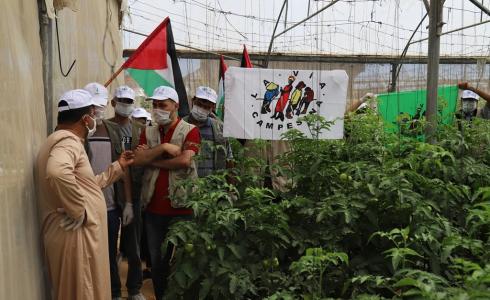 العمل الزراعي وحركة طريق الفلاحين الفلسطينية ينفذان زيارة تضامنية لمزارعي الدفيئات الزراعية برفح