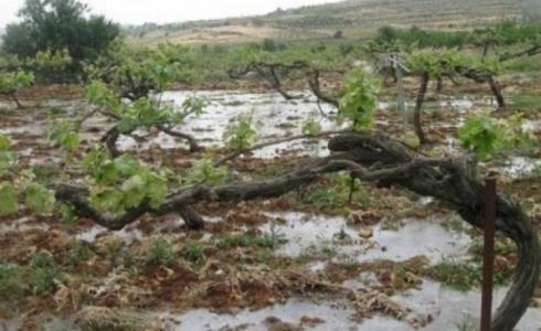 ‫ الاحتلال الإسرائيلي يعيد ضخ المياه العادمة غرب طولكرم