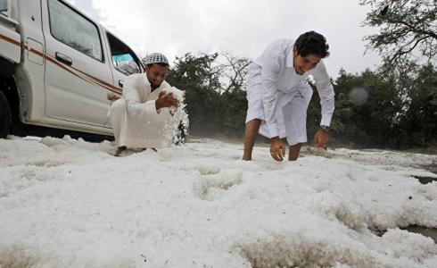 مواطنون سعوديون يلتقطون البرد