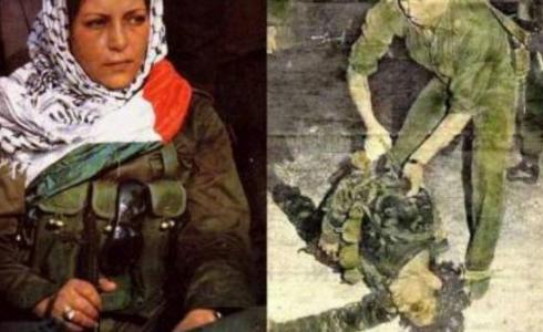 دلال المغربي