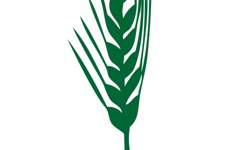 لجان العمل الزراعي