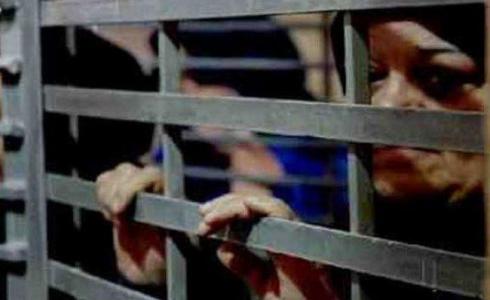 اسيرات في سجون الاحتلال