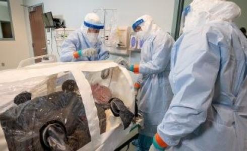 كورونا المستجد