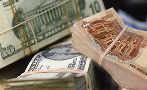 سعر الدولار اليوم فى مصر فى شركات الصرافة