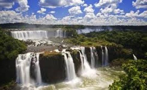  حيوانات تتزلق على الماء 