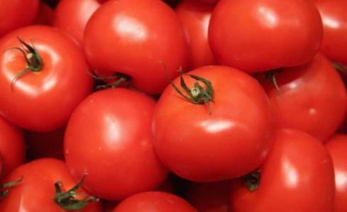 تعرف على مخاطر الطماطم على صحتك