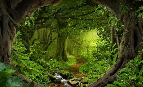 فقد هاتفه المحمول - ثم اكتشف مفاجأة مذهلة في ألبوم الصور1186026036.jpg