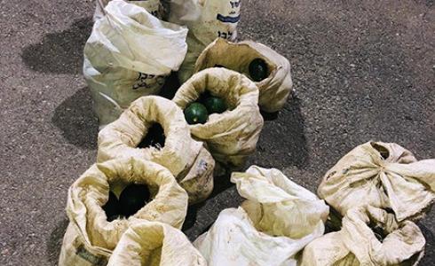 القبض على شخص بحوزته 180 كيلو أفوكادو مسروقة