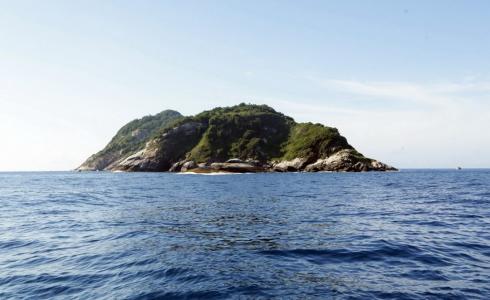 جزيرة الأفعى الخطيرة الواقعة على بُعد 33 كم من ساحل البرازيل - أرشيفية