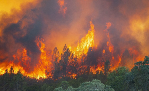 حرائق كاليفورنيا 