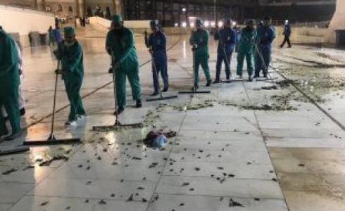 محاولة السيطرة على اعداد من صرصور الليل في مكة 